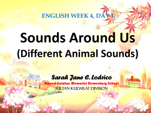 English Lesson Plan: Animal Sounds, Sentences, Story