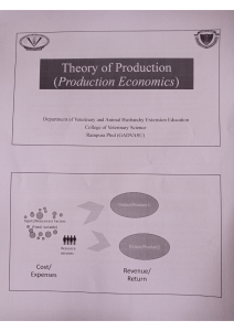 Theory of production