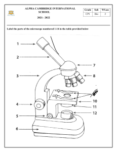 Microscope Parts Worksheet