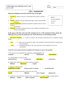 Cell Transport & Respiration Worksheet