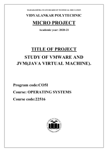 VMware and JVM Micro Project Report