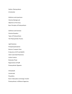 Essay on photosynthesis 12000 words