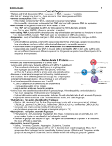 B⁄B (1 - Biomolecules) MCAT