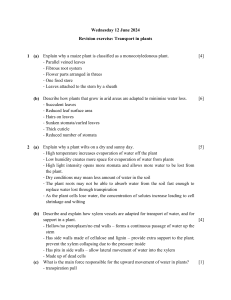 Plant Transport Revision Exercise