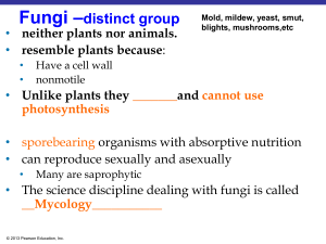 206 6 PPT6 Fungi SPR 22