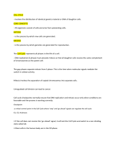 CELL-CYCLE-notes