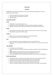 Excretion Handout: Organs, Processes, and Need