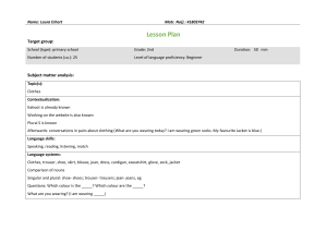 Framework Lesson Plan wahlfach blank template