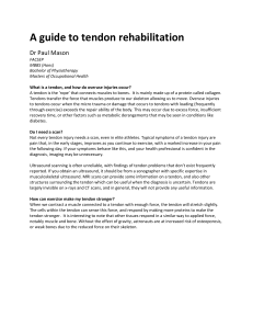 Understanding-tendon-rehabilitation-Paul-Mason (1)