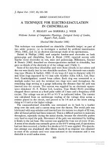 [14717899 - Reproduction] A TECHNIQUE FOR ELECTRO-EJACULATION IN CHINCHILLAS