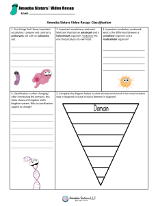 Classification Worksheet: Prokaryotes, Eukaryotes, Taxonomy