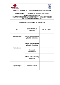 DIRECTIVA EJECUCION DIRECTA CORREGIDO