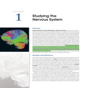 Studying the Nervous System: Neuroscience Overview