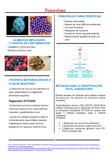 norovirus-grupo-2 compress