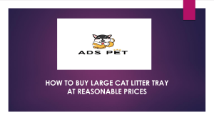 How To Buy Large Cat Litter Tray At Reasonable Prices