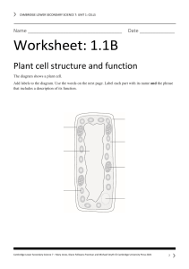 Plant Cell Structure Worksheet