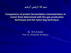 Rumen Protein Fermentation: Gas vs. Nylon Bag