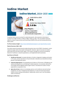 What are the Future Predictions for the Asia Pacific Iodine Market?