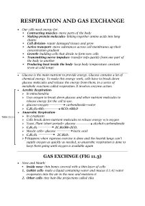 RESPIRATION AND GAS EXCHANGE