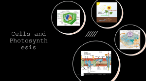 Cells and Photosynthesis