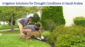 Irrigation Solutions for Drought Conditions in Saudi Arabia