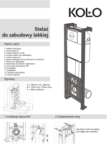 Concealed Toilet Frame Installation Guide