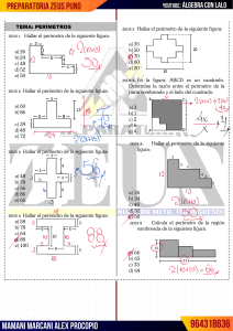 PERIMETROSSS