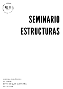 Seminario ESTRUCTURAS texto 2024