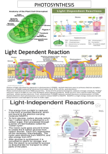 photo & respiration print1