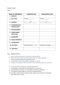 GenBio1 Quiz: Cell Biology