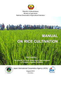 manual on rice cultivation Mozambique