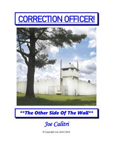 correction-officer-the-other-side-of-the-wall-obooko