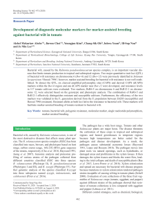 Tomato Bacterial Wilt Resistance: Molecular Marker Development