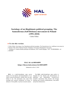 Sociology of an illegitimate political grouping. The Samoobrona (Self-Defense) movement in Poland (1991-2010)