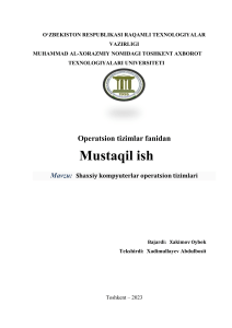 Mustaqil Ish