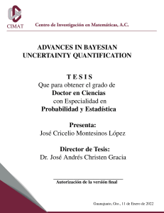 Advances in Bayesian Uncertainty Quantification