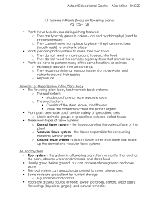 Plant Systems & Tissues: High School Biology