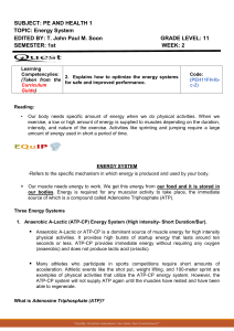 Energy Systems Lesson Plan for High School PE