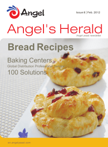 06. Bread Recipes author Angel Yeast