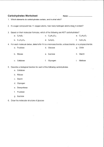 Carbohydrate worksheet