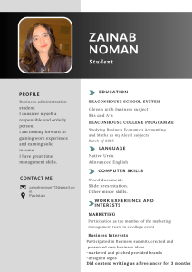 Zainab Noman Resume