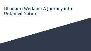 Dhanauri Wetland  A Journey into Untamed Nature