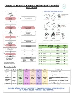 Guía de Reanimación Neonatal: Pasos, Intubación y Drogas