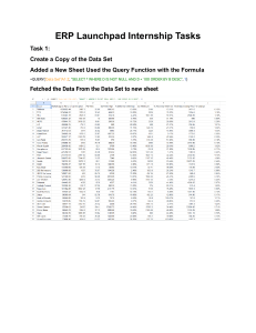 ERP Internship Tasks: Data Analysis & Spreadsheet Skills