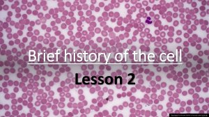 Brief History of the Cell: Lesson 2