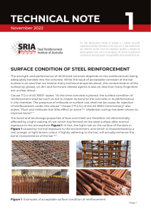 Surface Condition of Reinforcement TN-1