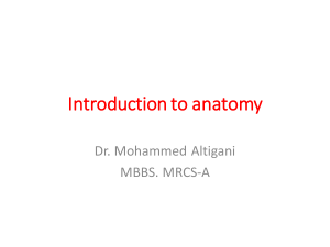 1.Introduction to anatomy(1)