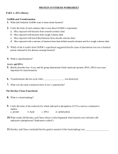 DNA, RNA, and Protein Synthesis Review WS