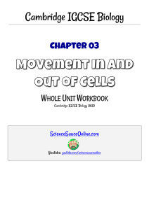 IGCSE Biology Workbook: Cell Movement