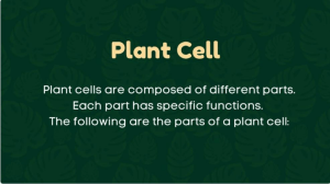 Cell Review